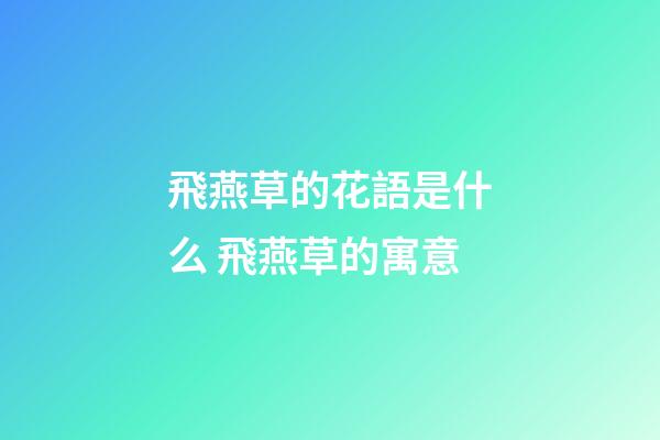 飛燕草的花語是什么 飛燕草的寓意